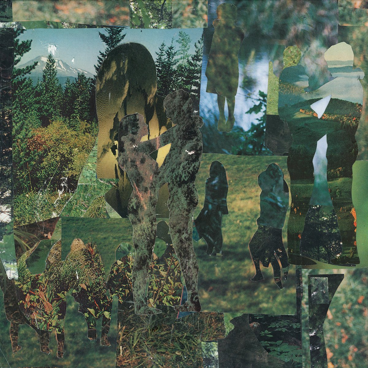 The Forest, artwork by Brandi Strickland Bentley