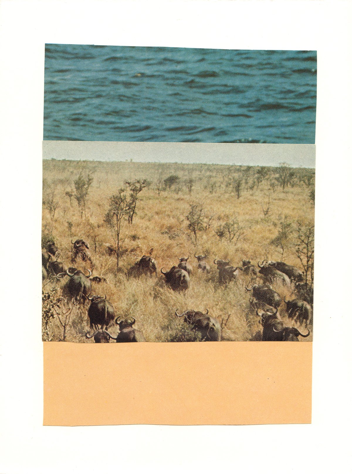 To the Water, artwork by Brandi Strickland Bentley