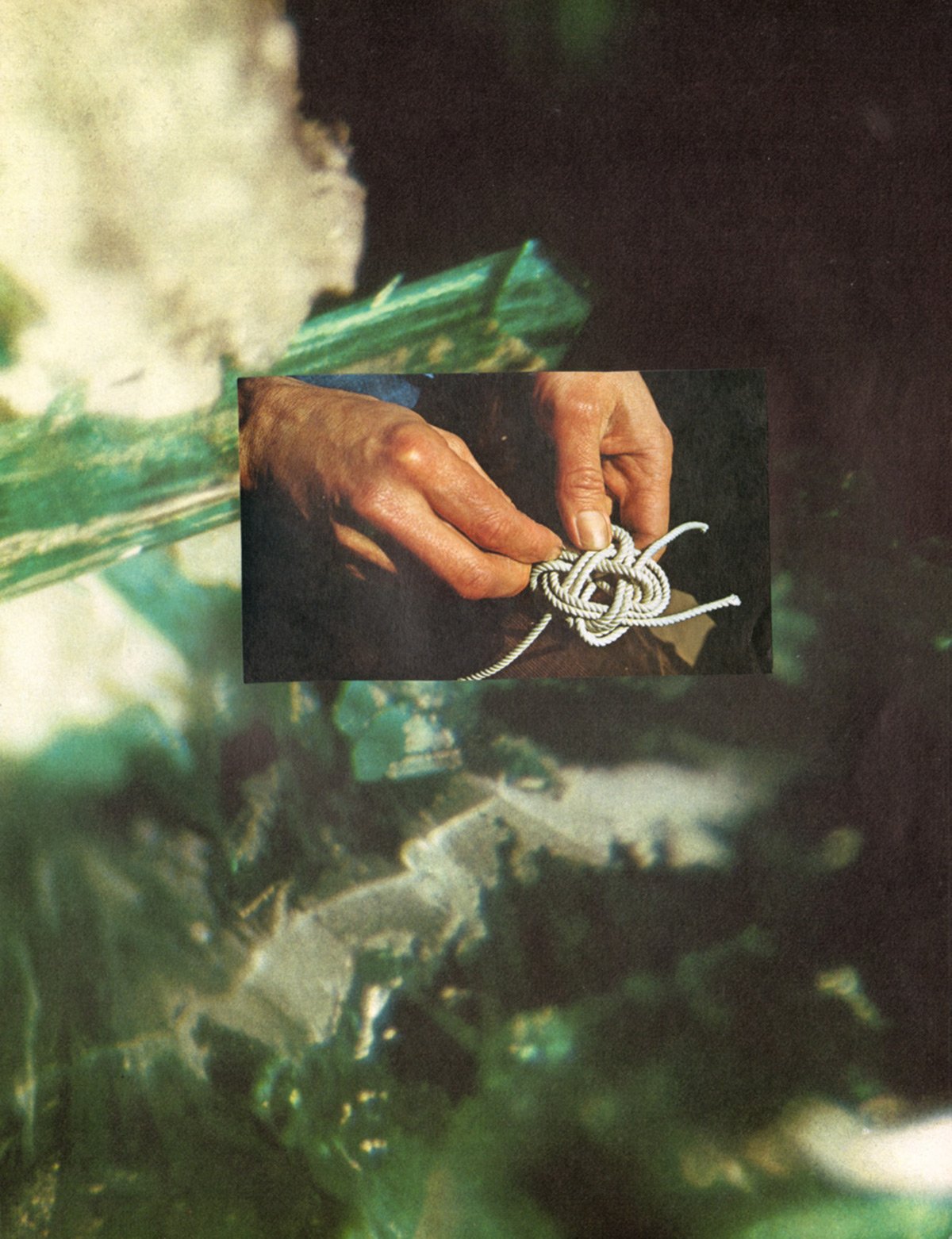 _Pages 3_ _(From the Plant and Mineral Medicine Book)_, artwork by Brandi Strickland Bentley