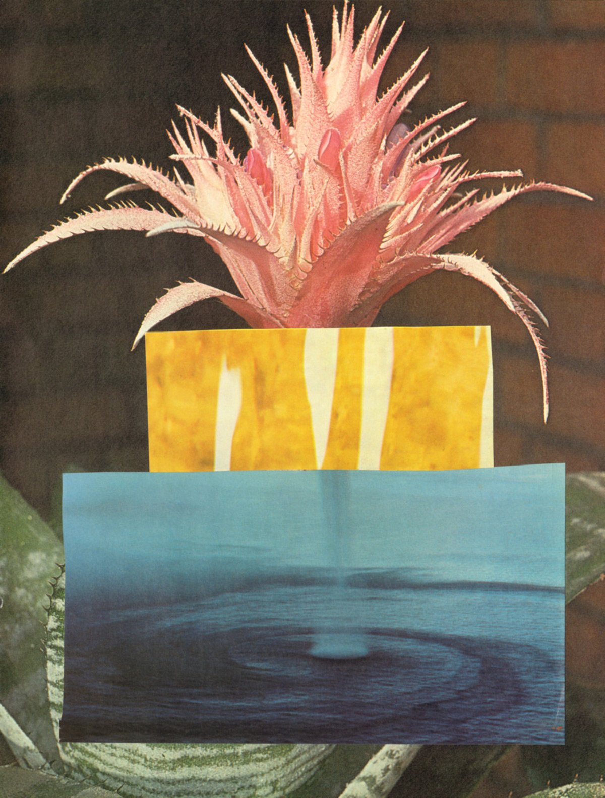 _Pages 6_ _(From the Plant and Mineral Medicine Book)_, artwork by Brandi Strickland Bentley