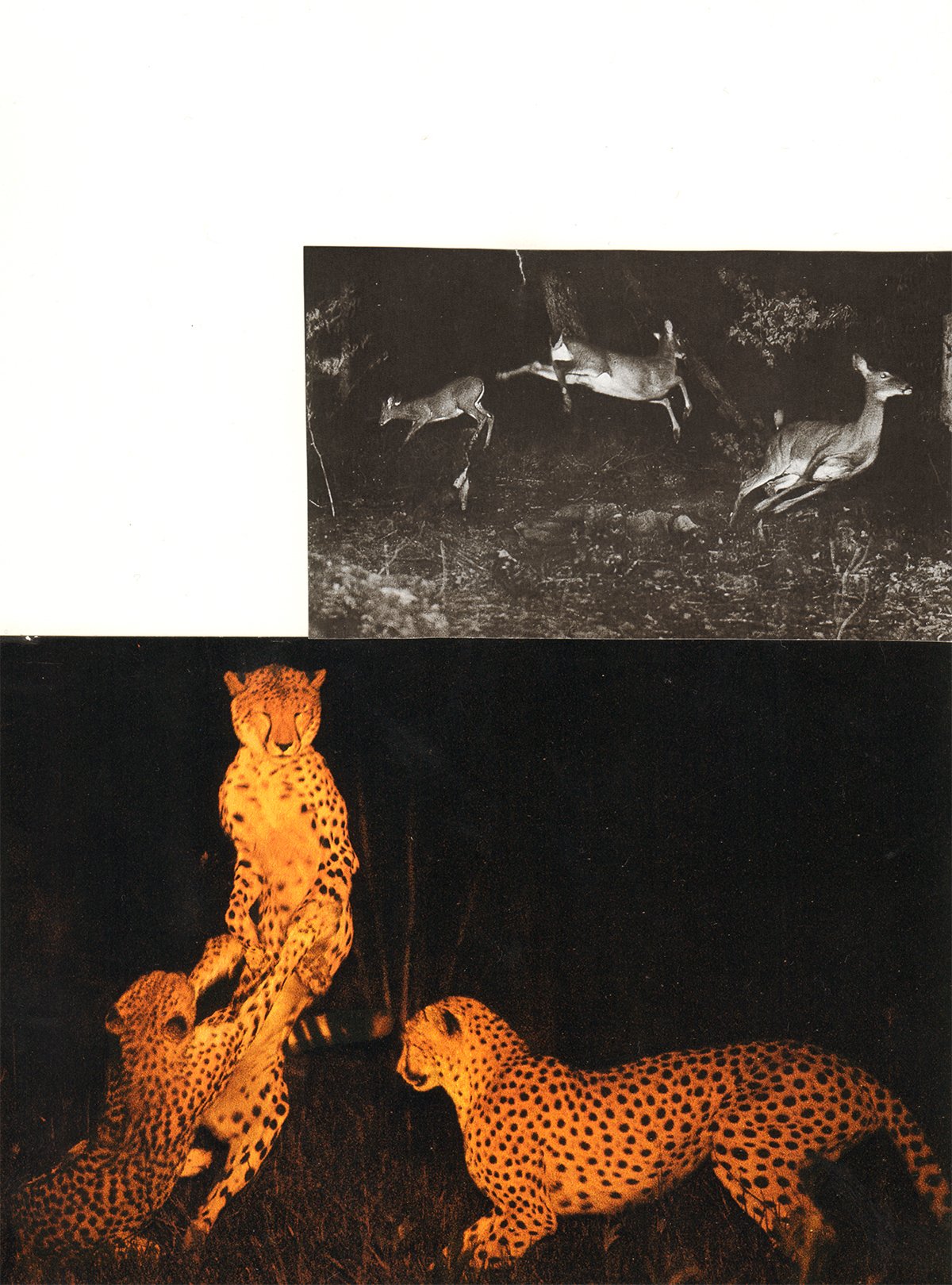 Three, artwork by Brandi Strickland Bentley